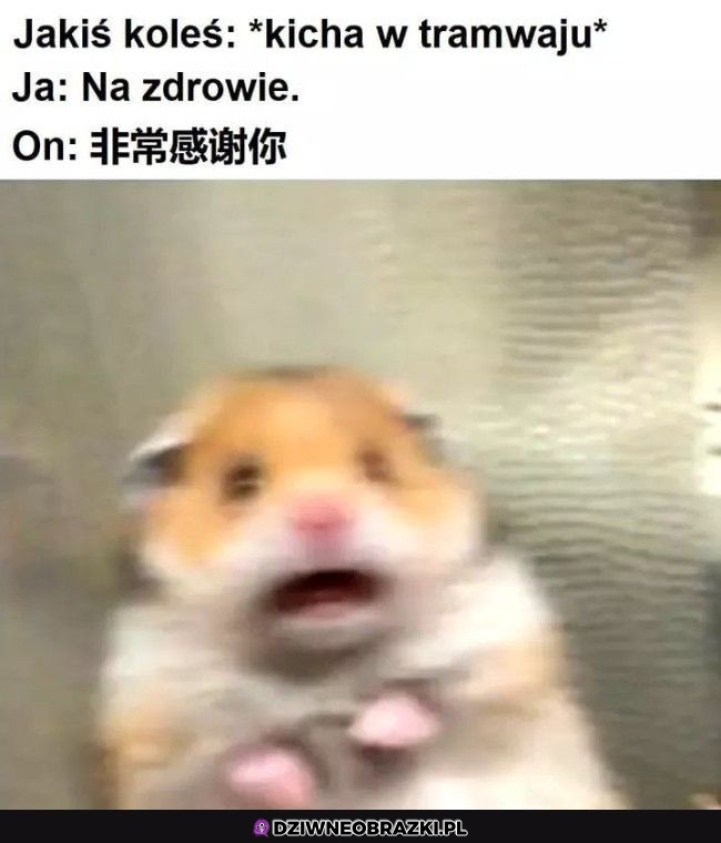 Kiedy ktoś kichnie