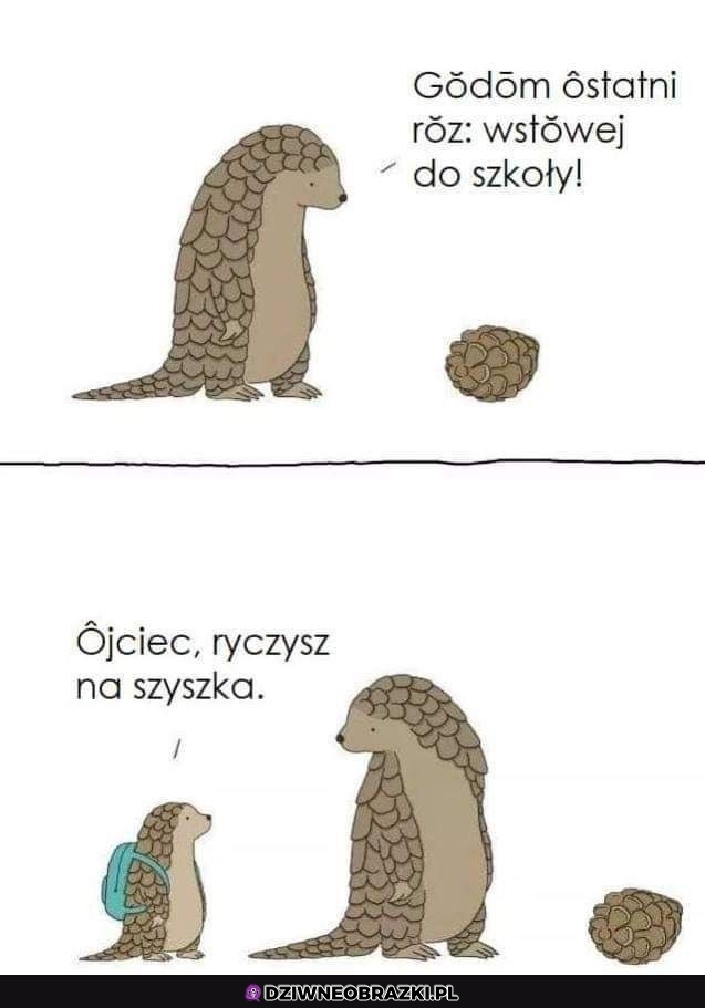 Ostatni raz godom