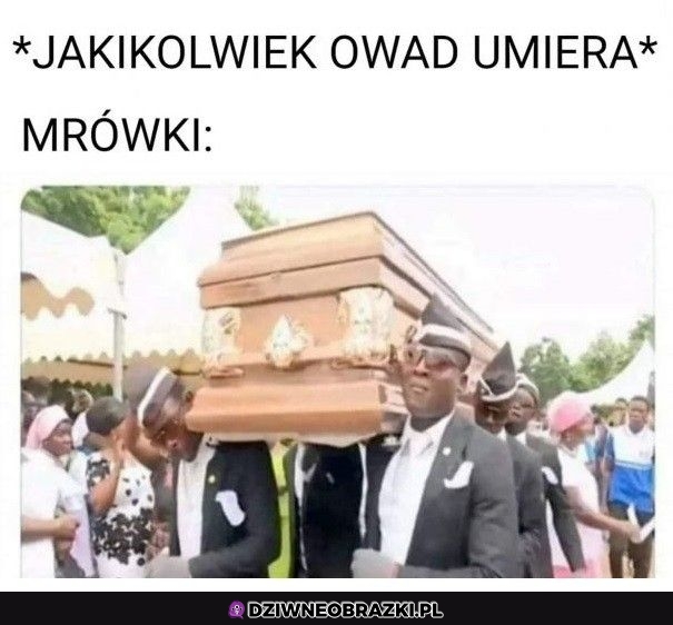 Olbrzymia radość