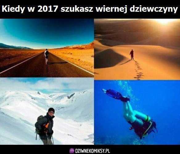 Poszukiwania