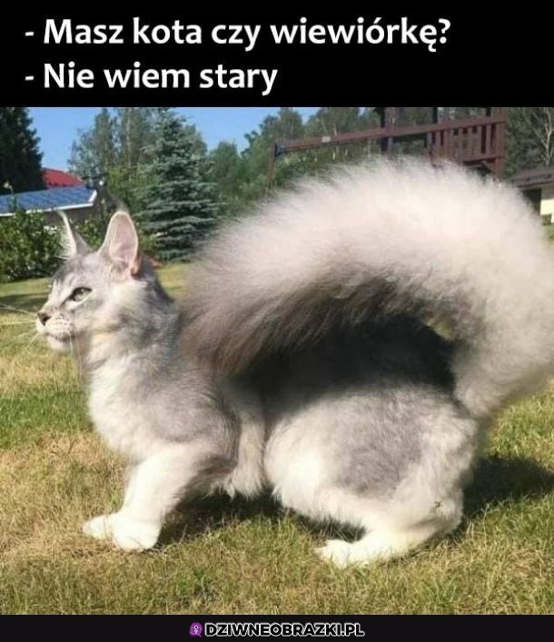 Też nie wiem
