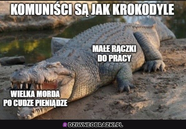 Komuniści tacy są