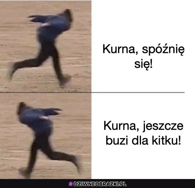 Najważniejsze