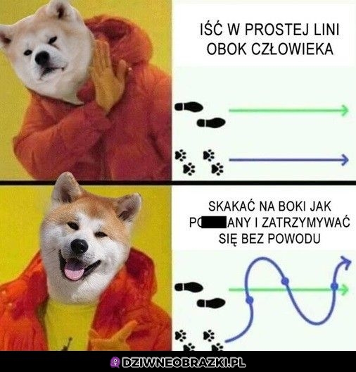 Pieseły