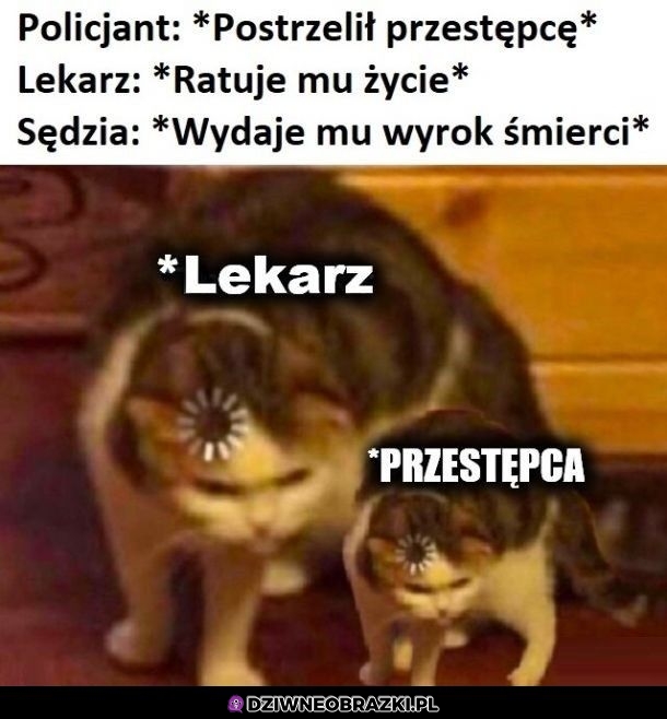 No i po co to wszystko?