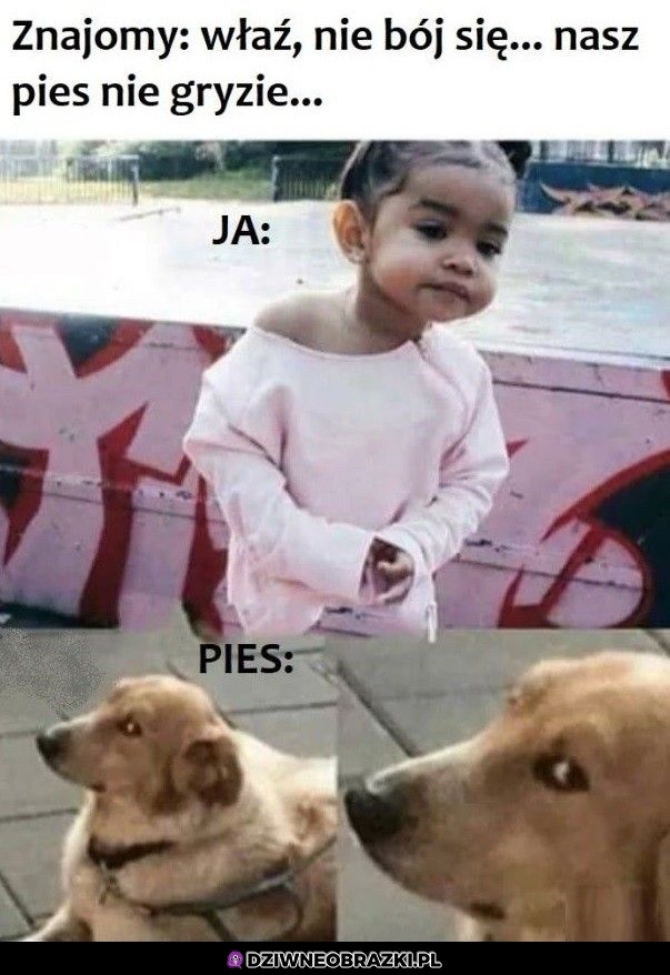 Na pewno?