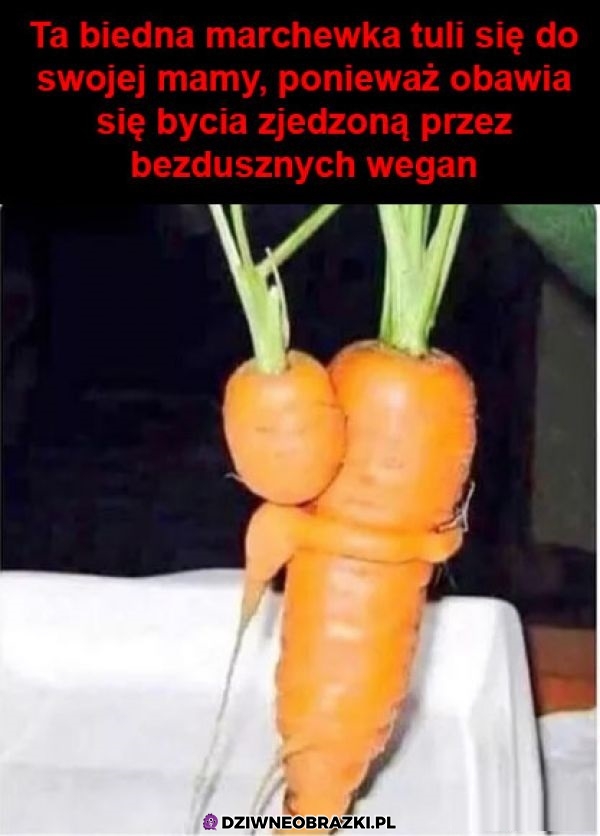 Marcheweczka