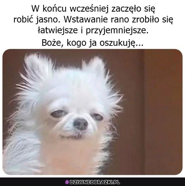 Kogo ja próbuję oszukać