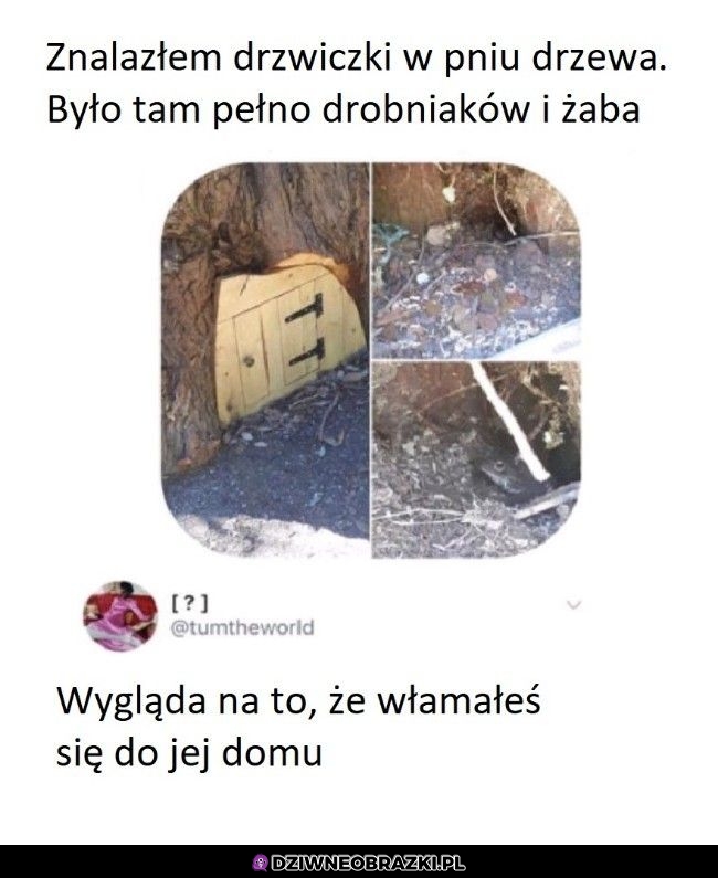 Włamywacz cholerny