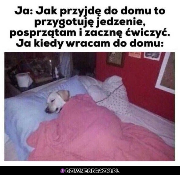 To ja