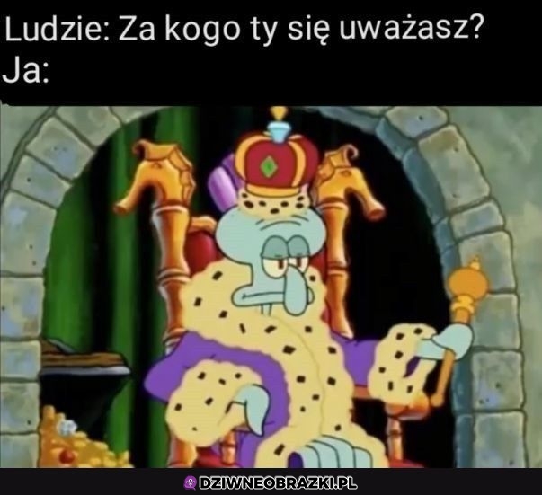 Przecież wiadomo
