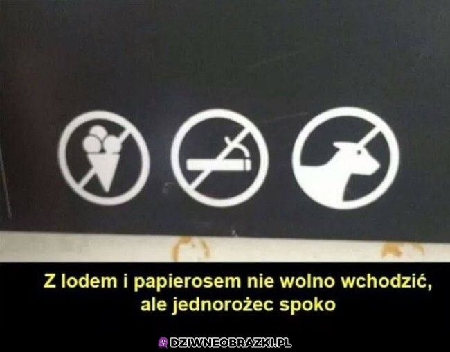 Jednorożce zapraszamy