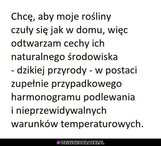 Naturalne środowisko