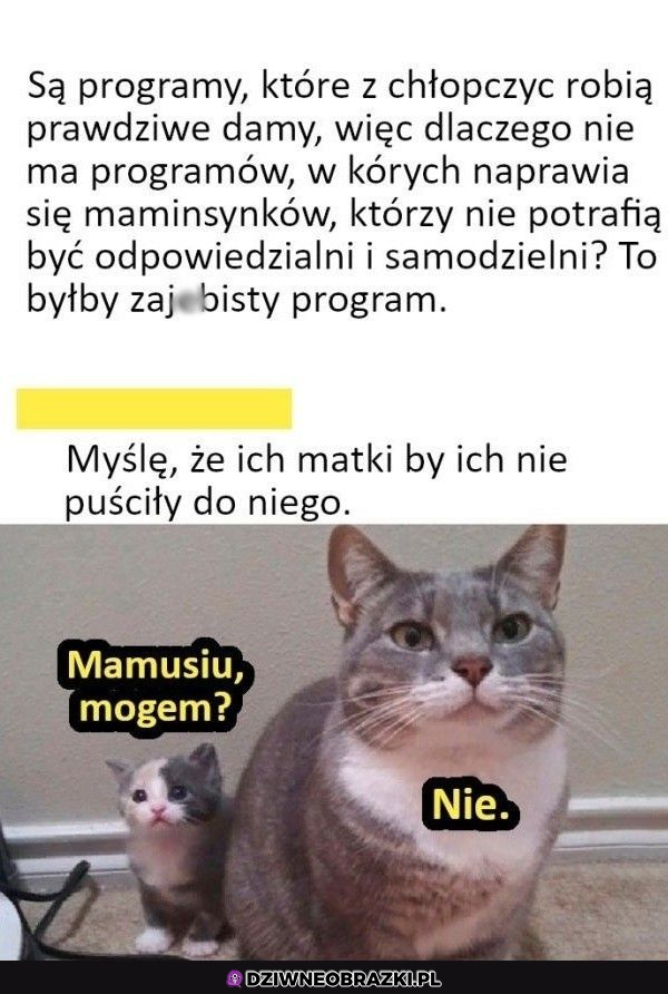 Maminsynek