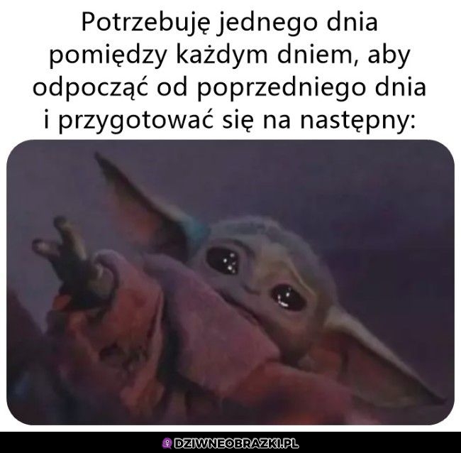 Potrzebuję takiego dnia