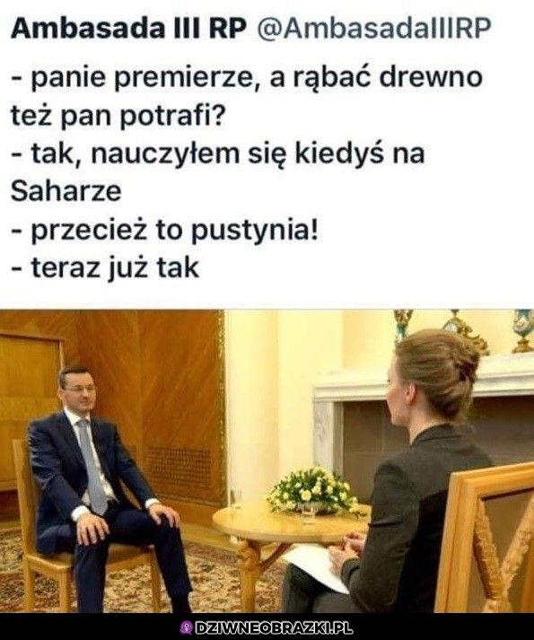 Umie pan rąbać?