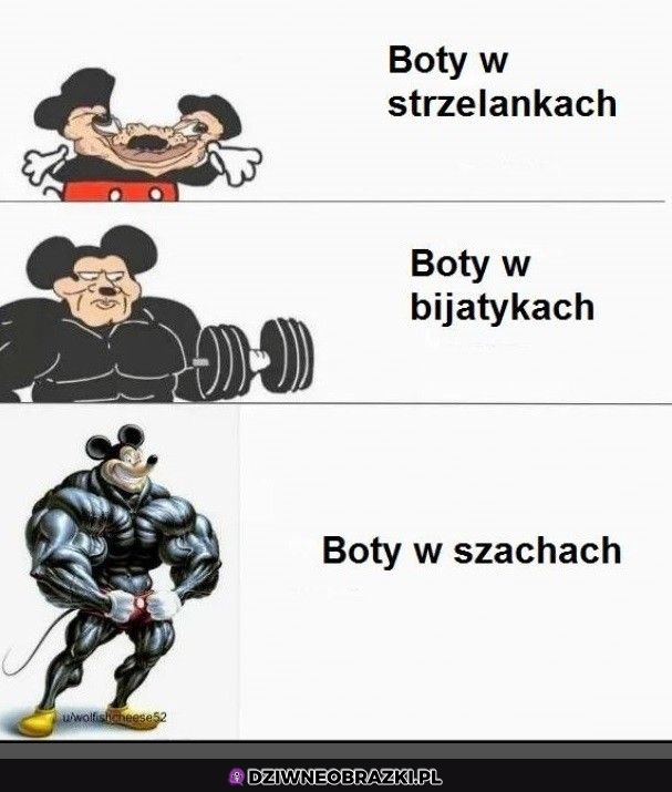 Boty takie są