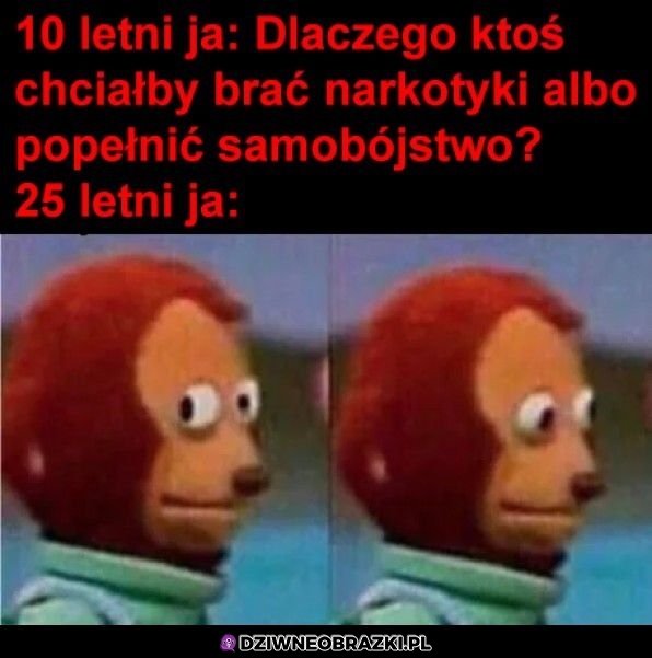 Już rozumiem