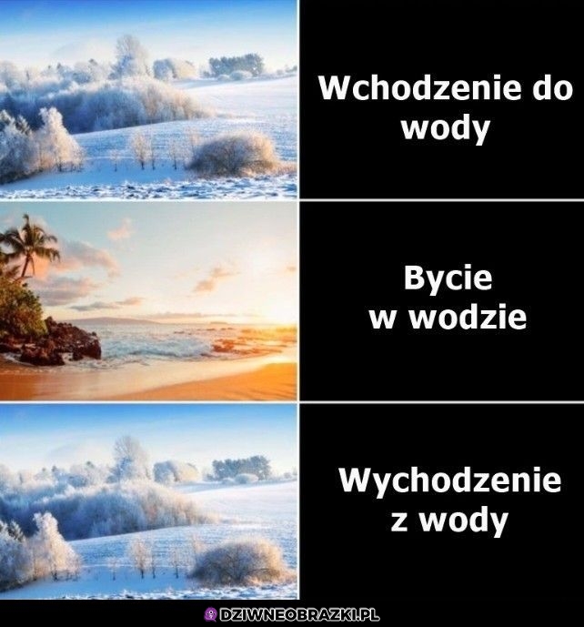 Tak to wygląda