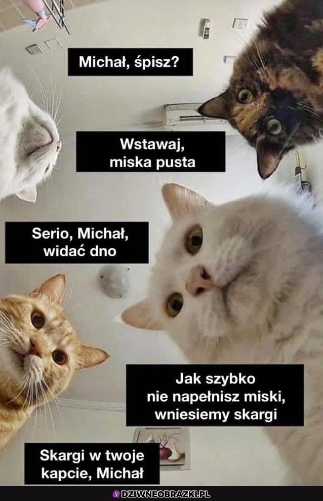 Lepiej wstawaj