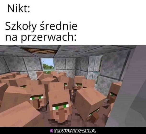 Szkolne kible