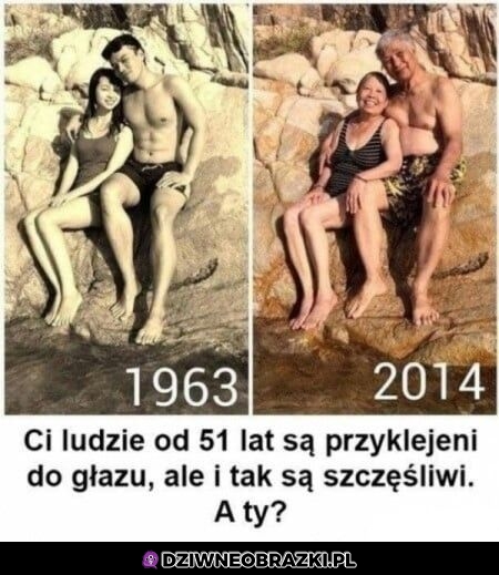 Trochę tam siedzą