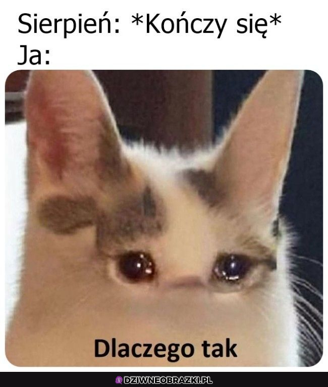 Sierpień...