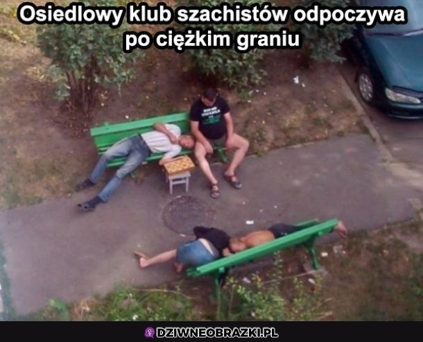 Zmęczeni szachiści