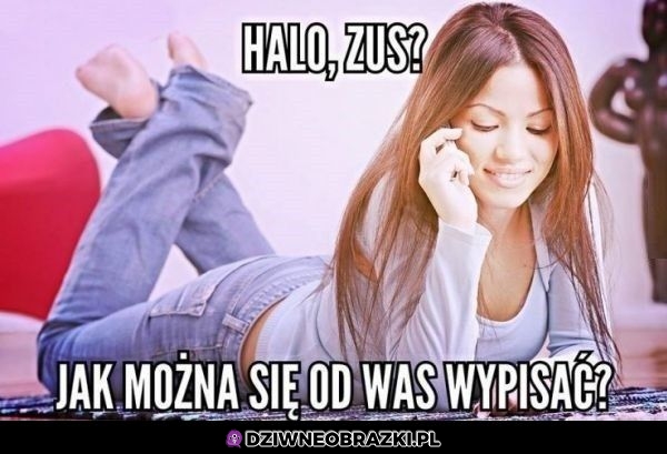 Halo, zus?