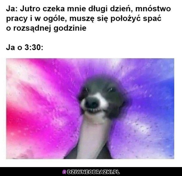 To ja