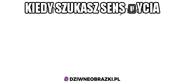 Kiedy szukasz sens życia