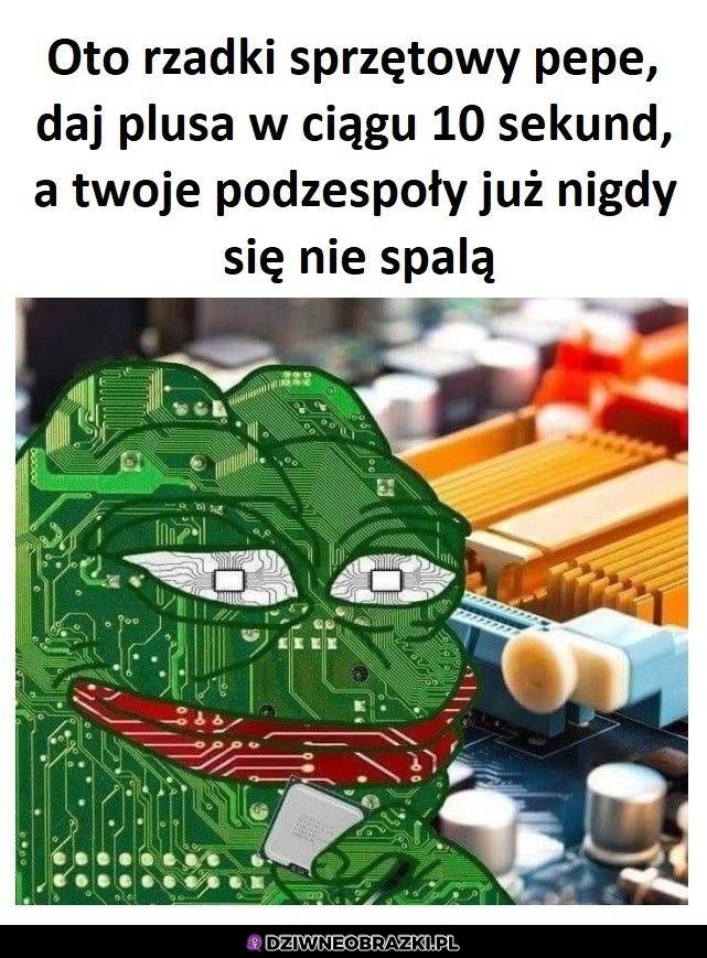 Sprzętowy Pepe