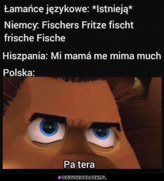 Też mi coś