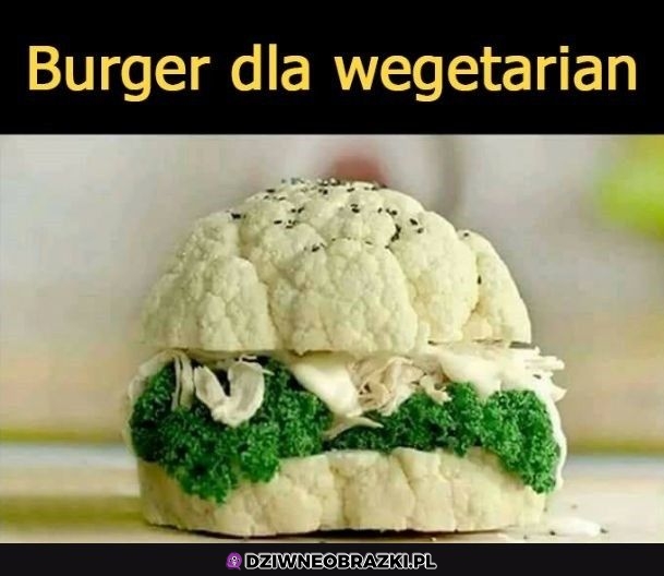 Coś dla nich