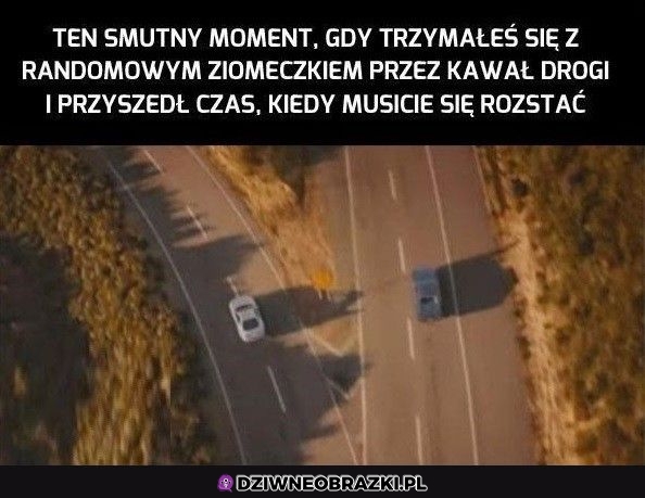 Ten moment