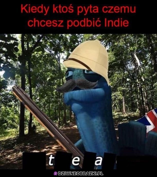 Powód