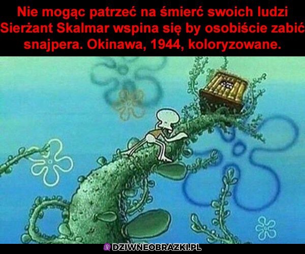 Koloryzowane