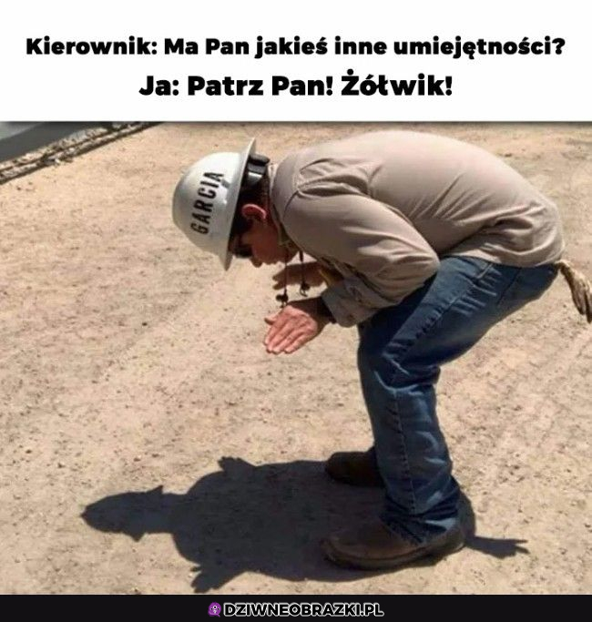 Ponad przeciętne umiejętności przydatne w pracy 