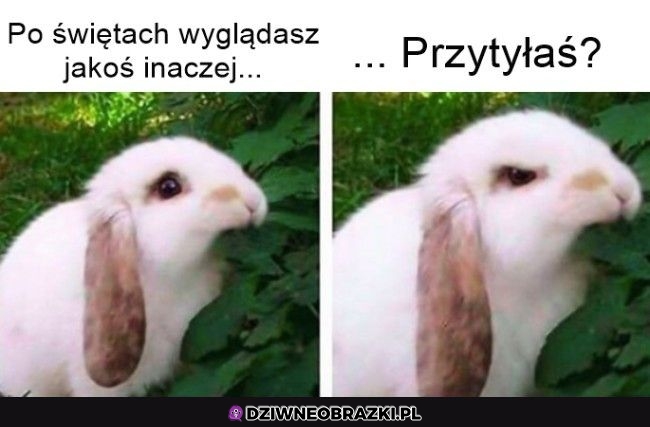 Tak i odwal się