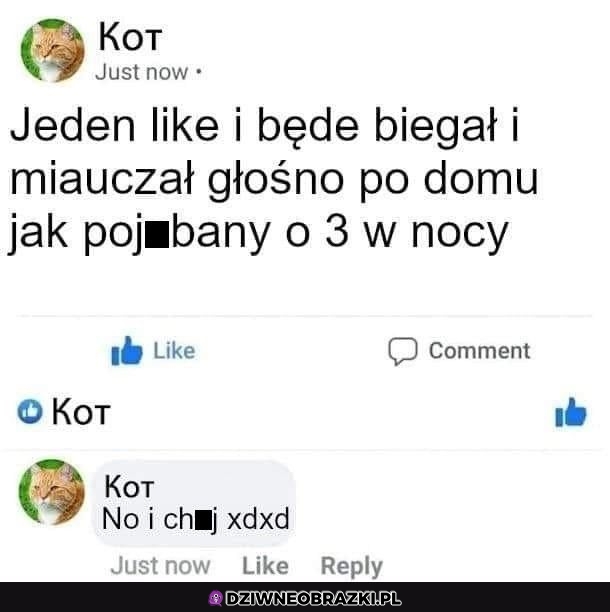 Jeden lajk