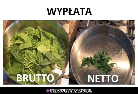 Wypłata taka jest