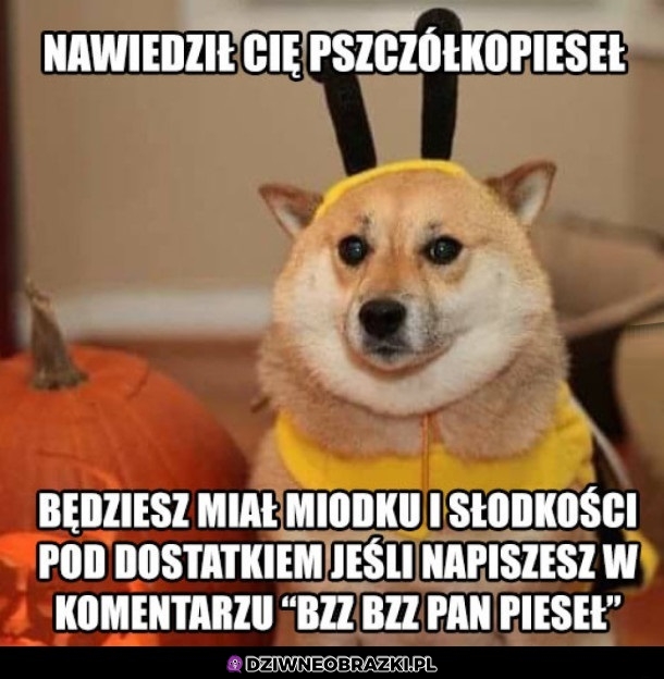 Bzzz
