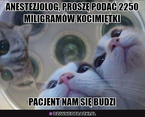 Proszę podać pacjentowi