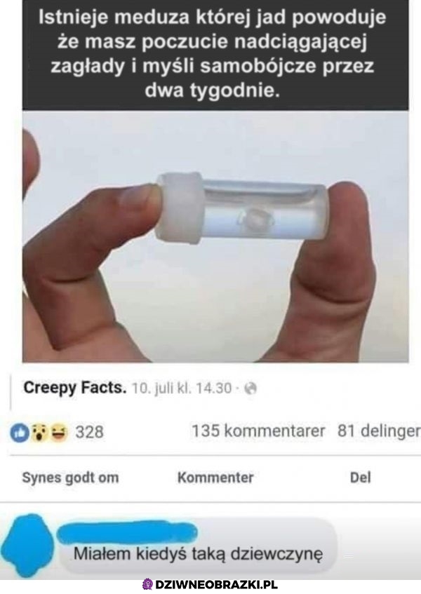 Meduza