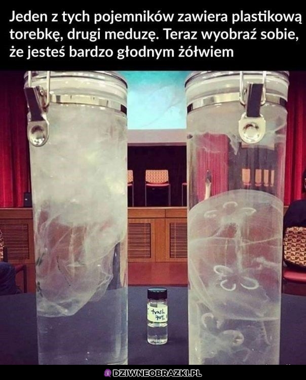 Można się pomylić