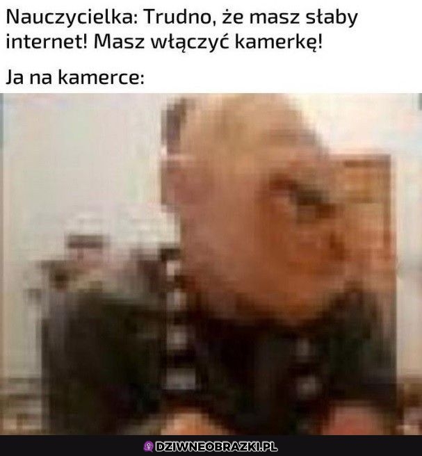 Bardzo proszę