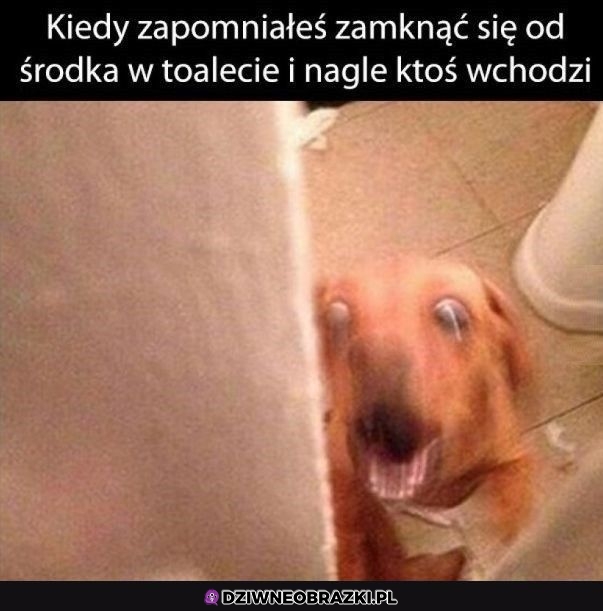 Ten moment