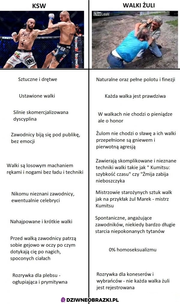 Które są ciekawsze?