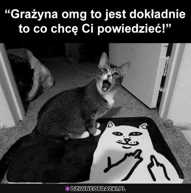 Dokładnie tak