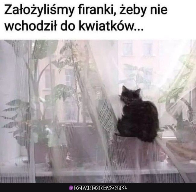 Nie pomogło